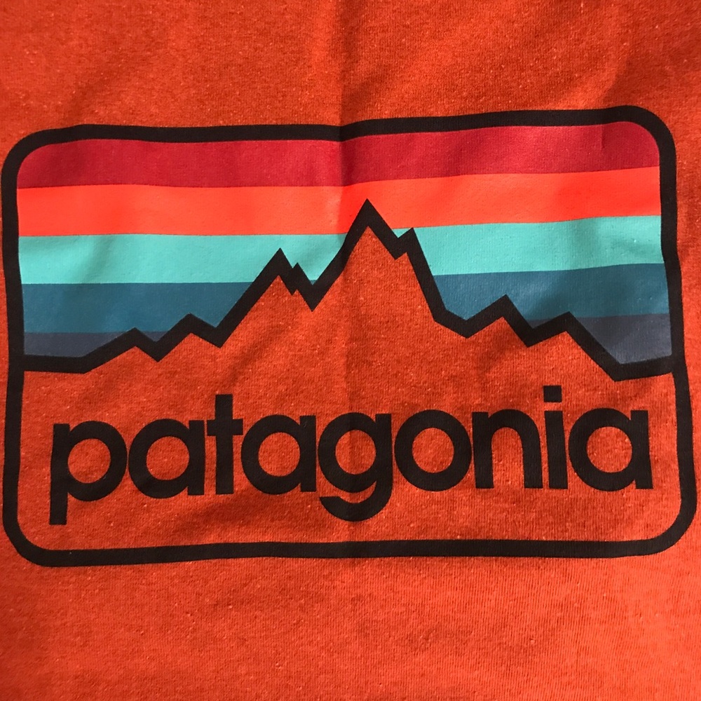 Patagonia tshirt